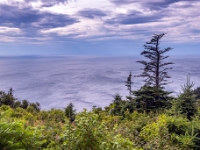 Skyline Trail, Cape Breton Highlands National Park